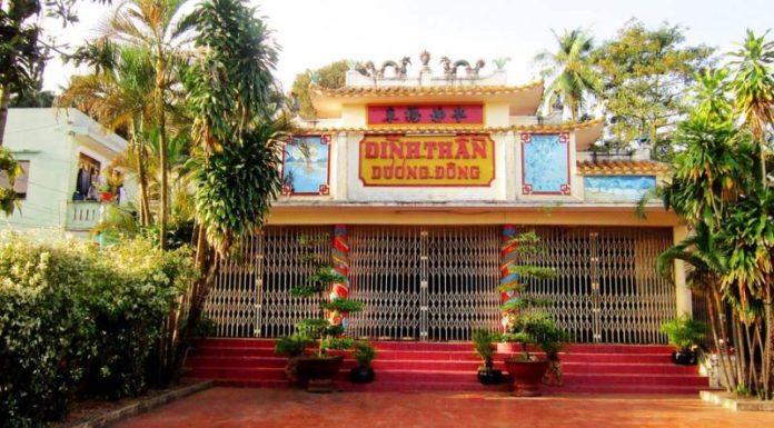 What makes the Festival of Dinh Thanh Duong Dong special? Origins and significance