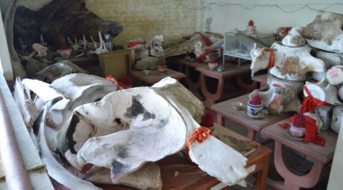 Lăng Ông Nam Hải Phú Quốc Festival: Origin and Significance