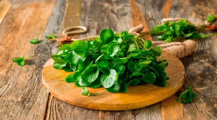 2 Nutrient-rich Vegetables that are considered ‘miracle’ for bones and joints, widely available and affordable at Vietnamese markets