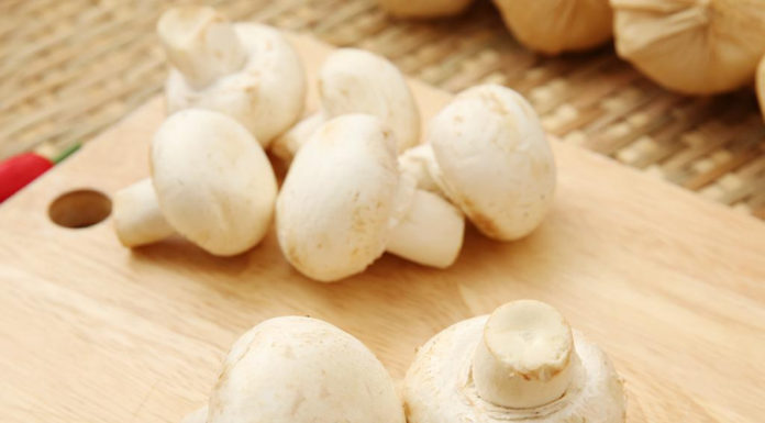 Delicious and Affordable Food that is as Nutritious as Ginseng: Must-Buy when you Find it in the Market