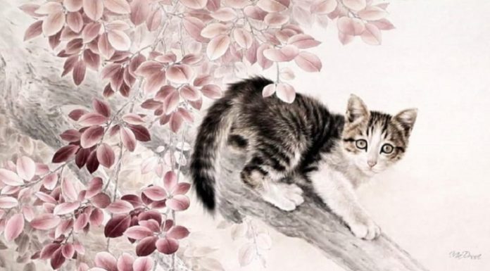 End of September Lunar Calendar: 4 Zodiac Signs Open Up Prosperity, Soaring High, Account Bouncing Like a Waterfall