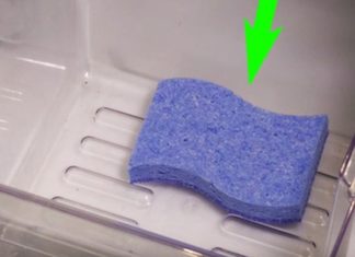 Knowing the benefits of this sponge, you will always keep it in the refrigerator