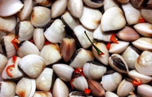 Tips for Cleaning Grit from Clams, Mussels, and Oysters to Perfect Your Dish