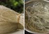 Which is better for soaking glass noodles: hot water or cold water?