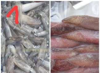 Mother in Hai Phong gives insider tips for city dwellers on selecting fresh and tasty squid as good as coastal people