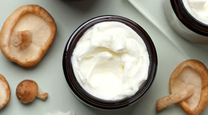 Mushroom-based skincare products bring multiple benefits to the skin
