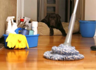 The “One-hour Method” will revolutionize your home cleaning routine