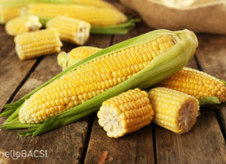The Best Way to Choose and Boil Corn that Not All Moms Know