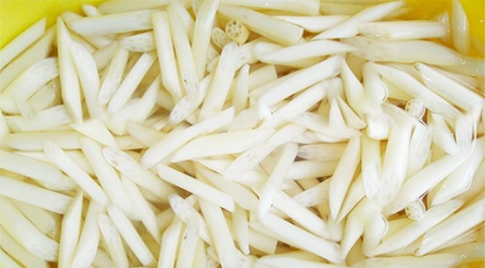 Crispy and Delicious Chicken Parts – The Perfect Dish for Everyone