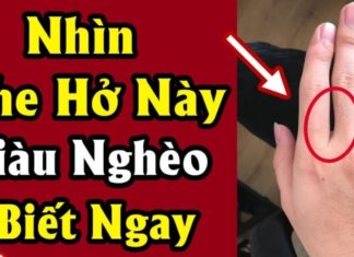 Close your fingers together and see how many gaps there are: It reveals your personality and life destiny