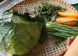 Don’t throw cabbage straight into the pan: Add this one thing, crispy green cabbage, anyone can do it