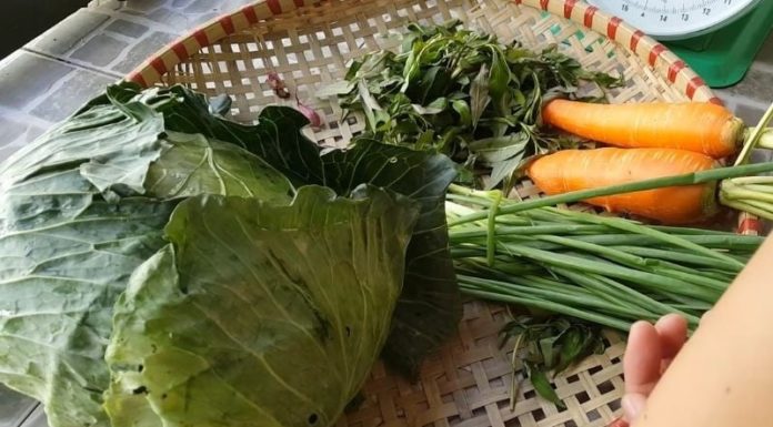 Don’t throw cabbage straight into the pan: Add this one thing, crispy green cabbage, anyone can do it