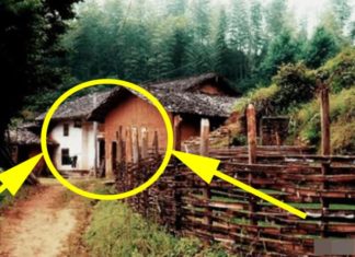 Ancestral teachings warn against three actions: never bring darkness into your home, always be cautious, and ensure the safety of future generations.