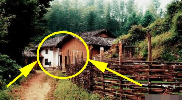 Ancestral teachings warn against three actions: never bring darkness into your home, always be cautious, and ensure the safety of future generations.