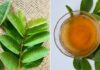 Amazing benefits of guava leaf tea that few people know