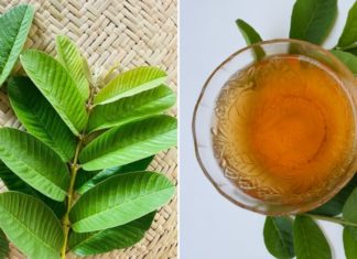 Amazing benefits of guava leaf tea that few people know