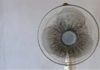 Why do electric fans accumulate dust quickly after a period of use?