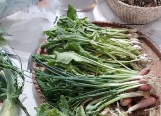 Preserve the crispness of pickled turnips using this special brine