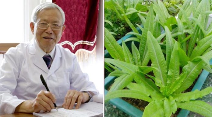 The Calcium-Rich Vegetable that Beats Bone Broth: Raw or Cooked, It’s Healthy and Little-Known