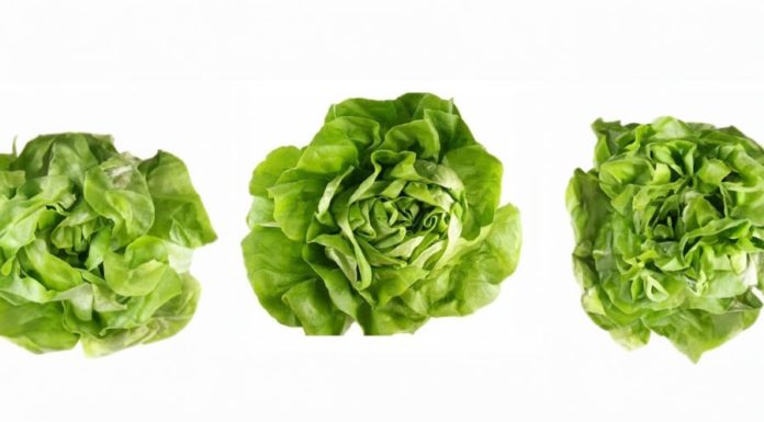 Craving for this vegetable? Beware, it could be a sign of cancer. Get tested now.