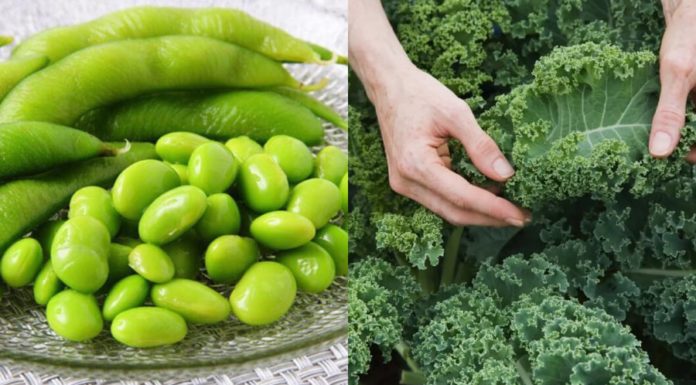 7 Calcium-Rich Vegetables that Outshine Shrimp and Fish, No Worries about Bone and Joint Issues