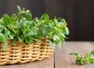 Affordable and Chemical-Free Vegetables That Are Praised and Worth Buying