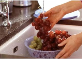 Standard Grape Washing Process that Not Everyone Knows