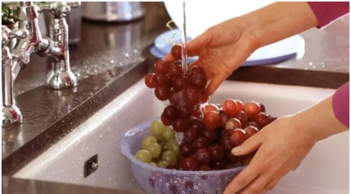Standard Grape Washing Process that Not Everyone Knows