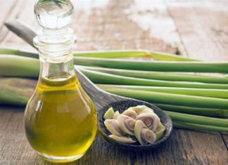 How to Make Lemongrass Essential Oil to Repel Mosquitoes Using Natural Ingredients at Home