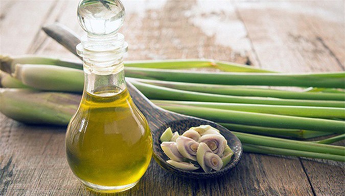 How to Make Lemongrass Essential Oil to Repel Mosquitoes Using Natural Ingredients at Home
