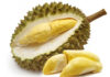 How to choose premium-quality durian for housewives