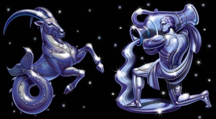 What Is Your Zodiac Sign for January? Personality, Love, Career