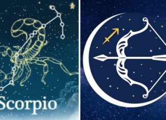 What is the zodiac sign for November? Decoding everything about November borns.