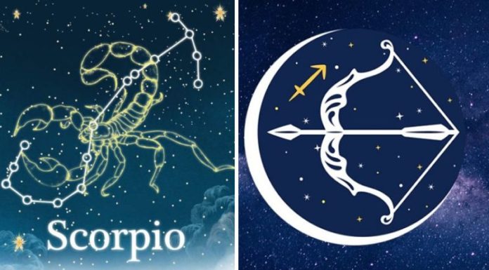 What is the zodiac sign for November? Decoding everything about November borns.