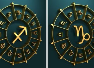 What is the Zodiac Sign for December? Surprising facts about December birth!