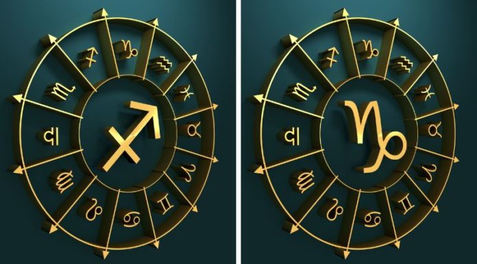 What is the Zodiac Sign for December? Surprising facts about December birth!