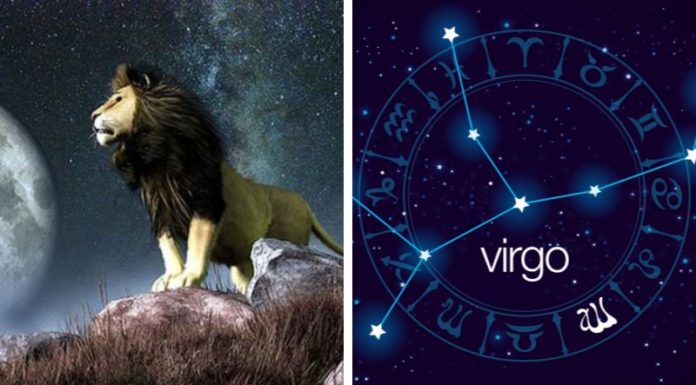 August zodiac signs: Personality, Love, and Career