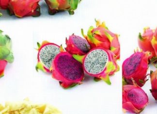 Dragon fruit with red or white flesh: which is better? Many people still don’t know about this.