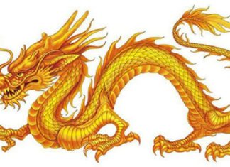 The Tiger’s Flight: Unlocking Career Heights and Financial Freedom in 10 Days