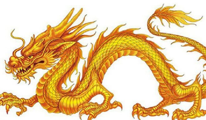 The Tiger’s Flight: Unlocking Career Heights and Financial Freedom in 10 Days