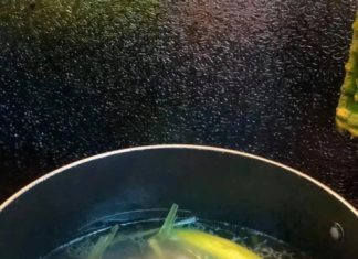 “The Secret to Mouth-Watering Duck: A Magic Water Solution”