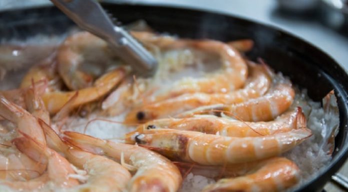 Should you boil shrimp in hot water or cold water?