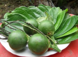 The Surprising Benefits of Lighting Incense and Discarding Betel Nut