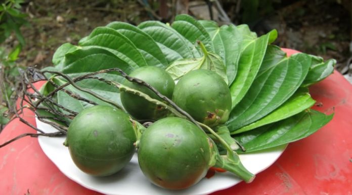 The Surprising Benefits of Lighting Incense and Discarding Betel Nut