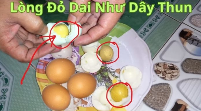 Boiling eggs with a spoonful of vinegar for easy peeling, with delicious and nutritious soft yolks