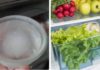 Save Half on Your Electricity Bill and Keep Your Vegetables Fresh with Just One Bowl of Water in the Fridge