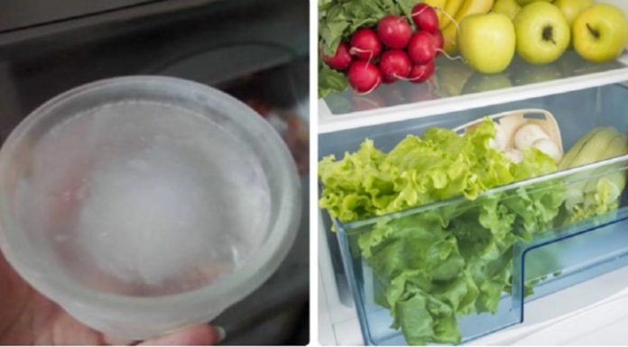 Save Half on Your Electricity Bill and Keep Your Vegetables Fresh with Just One Bowl of Water in the Fridge
