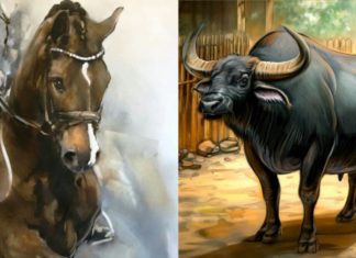 Unlimited Prosperity in December, 4-year-old wealth at the front door, fortune arrives at the back door