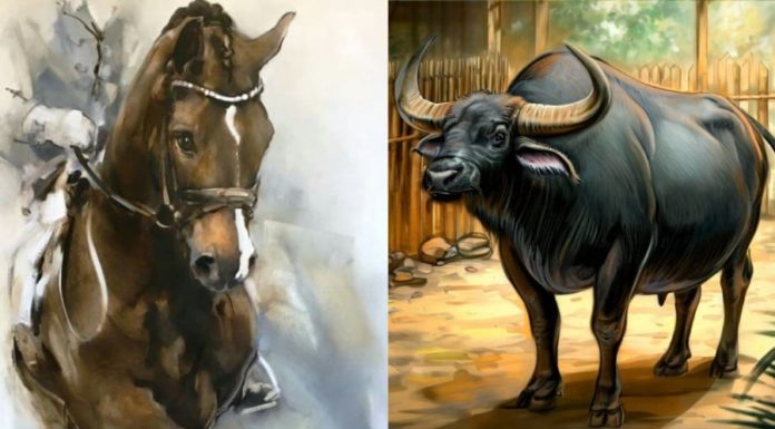 Unlimited Prosperity in December, 4-year-old wealth at the front door, fortune arrives at the back door