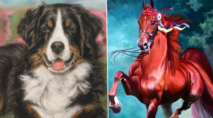 5 Days Left in November, 4-Year-Old Lottery Winner in the House, Rich with Food to Spare